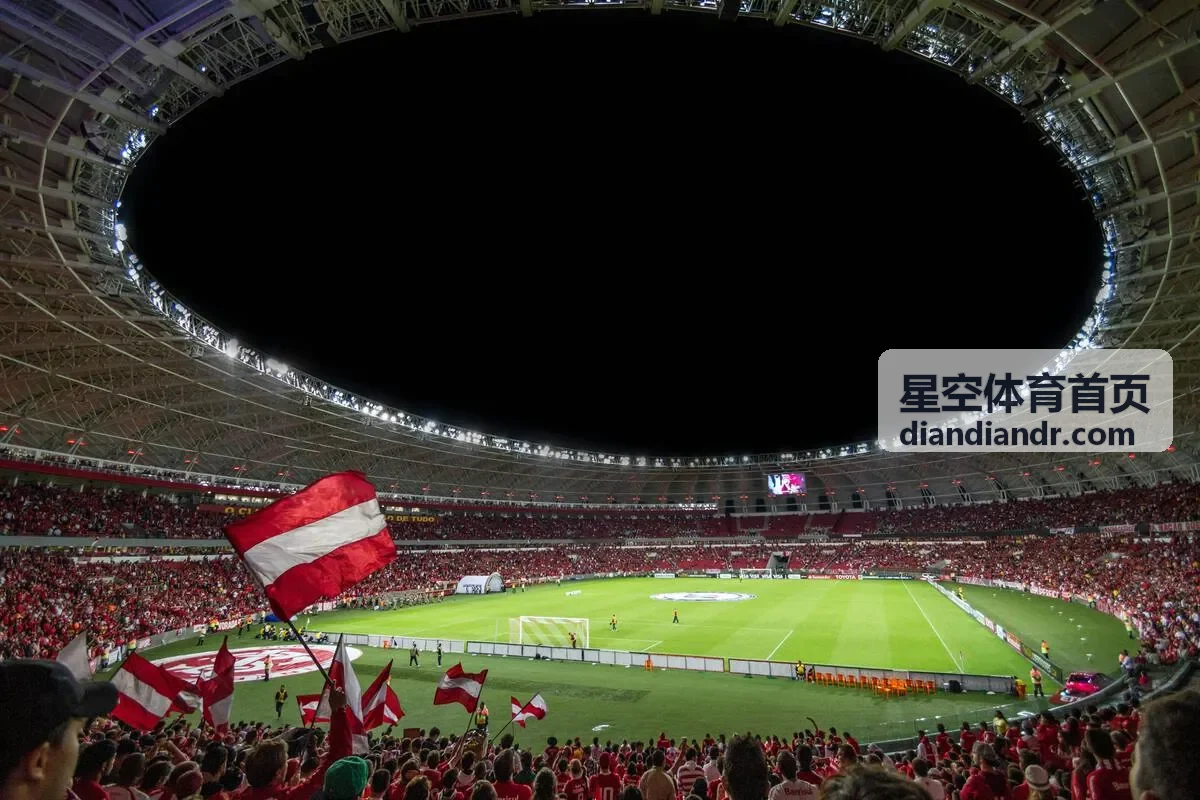星空体育首页票种权益与入场凭证说明