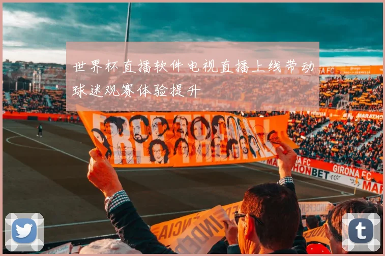 世界杯直播软件电视直播上线带动球迷观赛体验提升
